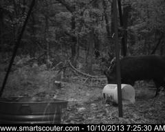 BedandBreakfast-NewFeeder_10102013_5813293.jpg